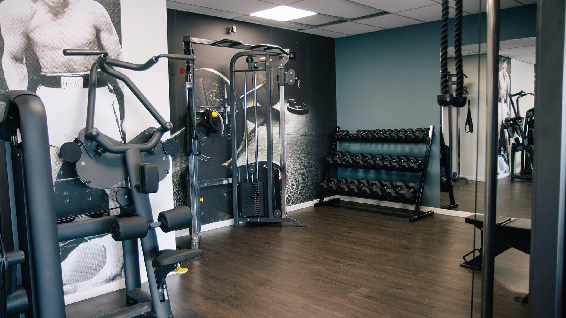 Volt-fitness-gewichten